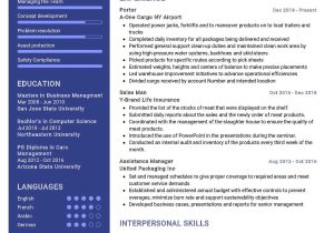 Resume Samples for Airport Job with No Experience Cargo Porter Resume Sample 2022 Writing Tips – Resumekraft
