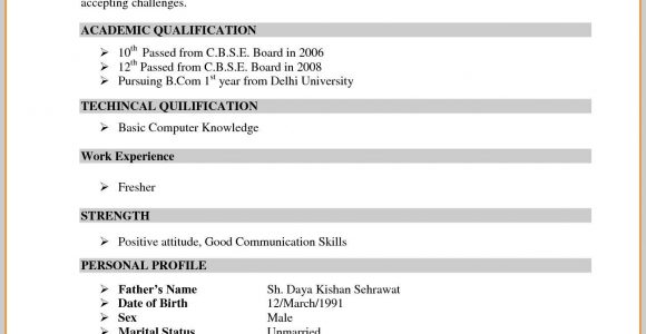 Resume Samples for B Com Freshers Download Resume format for Freshers Bcom Graduate