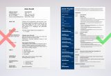 Resume Samples for Bank Teller Positions Bank Teller Resume Examples (with Job Description & Skills)