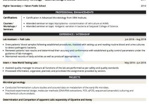Resume Samples for Bone Marrow Lab Sample Resume Of Medical Lab Technician with Template & Writing …