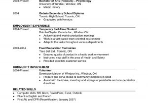 Resume Samples for Bsc Computer Science Computer Science Cv Template October 2021