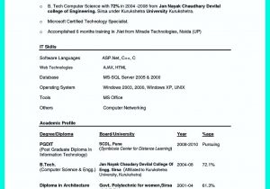 Resume Samples for Bsc Computer Science Resume Samples for Computer Science Graduates – Good Resume Examples