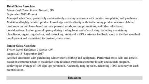 Resume Samples for Canadian Government Jobs Canadian Resume format: Write A Resume for Jobs In Canada