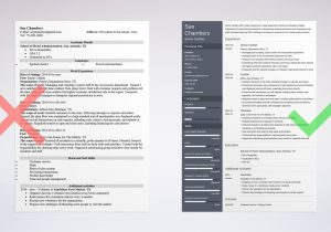 Resume Samples for Cash Handling for Servers Cashier Resume Examples (sample with Skills & Tips)