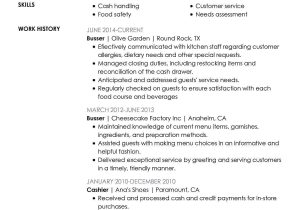Resume Samples for Cash Handling for Servers Resume for Restaurant Servers High Class Unfor Table Restaurant …