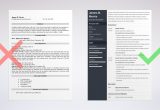 Resume Samples for Cashier Food Service Cashier Resume Examples (sample with Skills & Tips)
