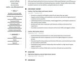 Resume Samples for Cashier Food Service Cashier Resume Examples & Writing Tips 2022 (free Guide) Â· Resume.io