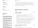 Resume Samples for Cashier Work Skills Retail Cashier Resume Examples & Writing Tips 2022 (free Guide)