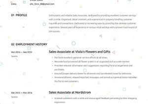 Resume Samples for Clothing Sales associate Sales associate Resume Examples & Writing Tips 2022 (free Guide)