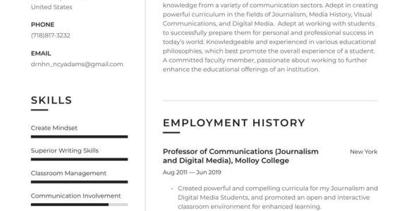 Resume Samples for College Instructor Positions College Professor Resume Example & Writing Guide Â· Resume.io