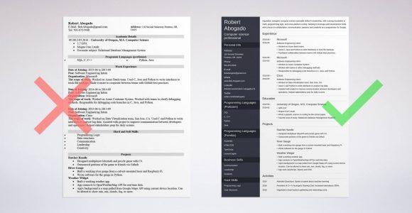 Resume Samples for Computer Science Engineers Computer Science (cs) Resume Example (template & Guide)