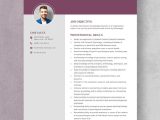 Resume Samples for Conducting Psychology Tests Psychologist Resume Templates – Design, Free, Download Template.net