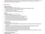 Resume Samples for Customer Service Executive Customer Service Resume Example 2021 Writing Tips – Resumekraft Resume Samples for Customer Service Executive Customer Service Resume Example 2021 Writing Tips – Resumekraft