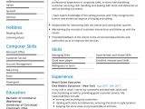 Resume Samples for Customer Service Executive Sales Executive Resume Example Cv Sample [2020] – Resumekraft