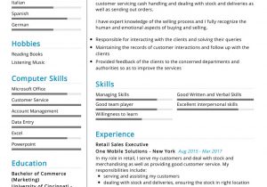 Resume Samples for Customer Service Executive Sales Executive Resume Example Cv Sample [2020] – Resumekraft