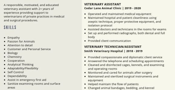 Resume Samples for Customer Service Vet Veterinary assistant Resume Samples and Tips [pdflancarrezekiqdoc Templates …