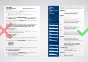 Resume Samples for Data Scientist Position Data Scientist Resume Examples for Any Industry In 2022