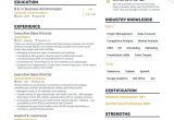Resume Samples for Director Of Sales Sales Director Resume Examples: Templates & How-to Guide (layout …