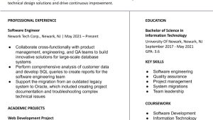 Resume Samples for Entry Level It Positions Entry-level Information Technology Resume Examples In 2022 …