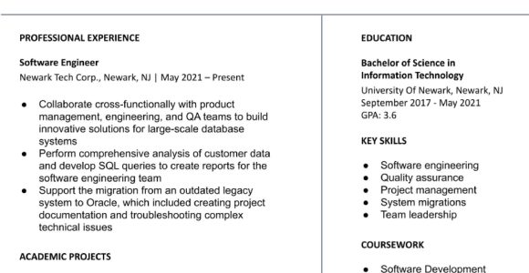 Resume Samples for Entry Level It Positions Entry-level Information Technology Resume Examples In 2022 …