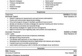 Resume Samples for Experienced Finance Professionals 8 Amazing Finance Resume Examples Livecareer New / Floating-city …