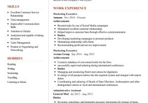 Resume Samples for Experienced Professionals In Marketing Marketing Executive Resume Sample 2022 Writing Tips – Resumekraft