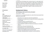 Resume Samples for Experienced Professionals In Net Net Developer Resume & Writing Guide  17 Templates 2022