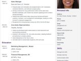 Resume Samples for Experienced Professionals India Best Cv / Curriculum Vitae format for Jobs In India   Sample