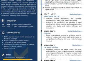 Resume Samples for Experienced Professionals India Resume Samples & Case Studies by Get Set Resumes