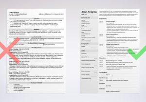 Resume Samples for Experienced Professionals Template the 3 Best Resume formats to Use In 2022 (examples)
