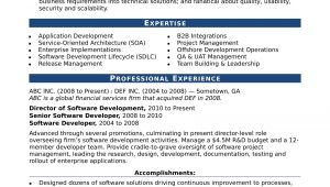 Resume Samples for Experienced software Professionals Sample Resume for An Experienced It Developer Monster.com