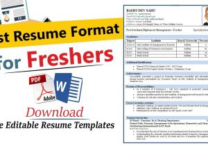 Resume Samples for Freshers In India Resume format for Freshers Best Resume format for Freshers Resume format for Freshers Engineers