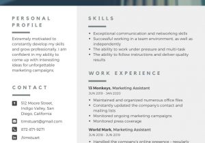 Resume Samples for Freshers Mba In Marketing Mba Resume Samples for Creating Eye-catchy Professional Resumes …