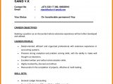 Resume Samples for Jobs In India 7 Cv format Pdf Indian Style Resume Template Word, Accountant …