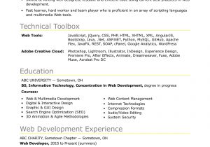 Resume Samples for Web Developer Fresher Sample Resume for An Entry-level It Developer Monster.com