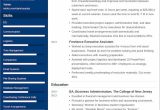 Resume Samples Highlight Skills Many Skills No Professions Best Skills for A Resume (with Examples and How-to Guide)