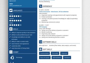 Resume Samples In Sales and Marketing Sales Resume Samples & Pro Writing Tips