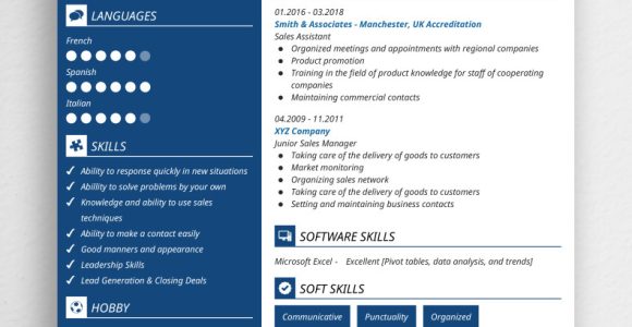 Resume Samples In Sales and Marketing Sales Resume Samples & Pro Writing Tips