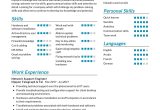Resume Samples It Working Knowledge Of Active Directory It Resume Samples – Page 10 Of 15 2022 – Resumekraft