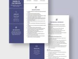 Resume Samples Of A Environmental Health Program Manager Environmental Health and Safety Manager Resume Template – Word …