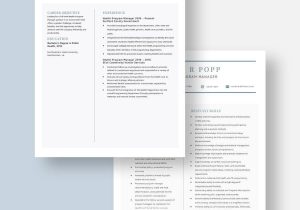 Resume Samples Of A Environmental Health Program Manager Health Program Manager Resume Template – Word, Apple Pages …