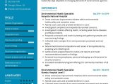 Resume Samples Of A Environmental Health Program Manager Public Health Officer Resume Template 2022 Writing Tips …