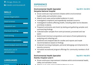 Resume Samples Of A Environmental Health Program Manager Public Health Officer Resume Template 2022 Writing Tips …