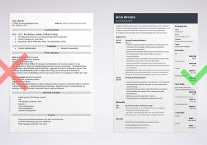 Resume Samples Of A Personal assistant Personal assistant Resume Samples (guide & top Skills)