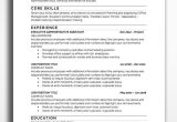 Resume Samples Same Company Different Positions Professional Resume & Cv Templates – Bestresumes.co Teacher …