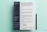 Resume Samples that Emphasize Work Skills Functional Resume: Examples & Skills Based Templates