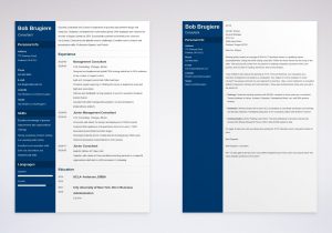 Resume Samples that Got Interview Invite From Mkinsey Mckinsey Cover Letter Sample & Writing Tips (10lancarrezekiq Examples)