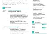 Resume Samples Uiuc Dual Degrees Finance and Accounting Business Strategy Resume Sample 2022 Writing Tips – Resumekraft