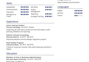 Resume Samples Uiuc Dual Degrees Finance and Accounting Group Internal Auditor Resume Sample 2022 Writing Tips – Resumekraft