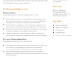 Resume Self Employment Online Shop Sample Business Owner Resume Examples In 2022 – Resumebuilder.com